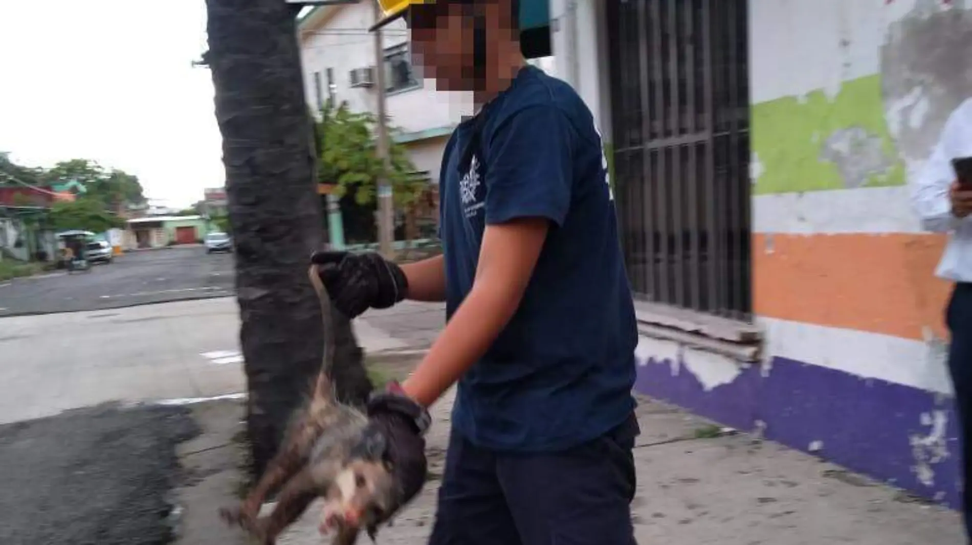 bomberos copia